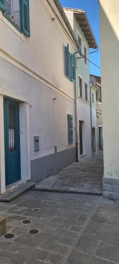 Apartma Galeb Piran Dış mekan fotoğraf